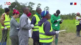 Miniature : Santé humaine, animale et environnementale au Cameroun  : l'initiative AGRICOM #onehealth
