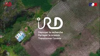 Miniature : A la découverte de l'IRD