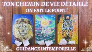 Miniature : ⚠️🔮TON CHEMIN DE VIE : ON FAIT LE POINT!🔮⚠️GUIDANCE ULTRA DÉTAILLÉE 3 choix ✨intemporelle