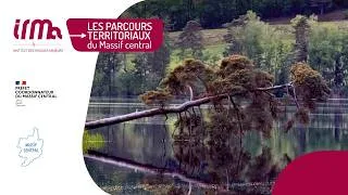 Miniature : Parcours territoriaux du Massif central - version courte