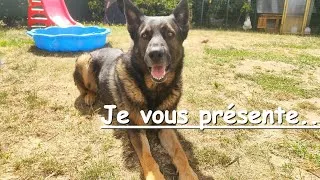 Miniature : Je vous présente .......