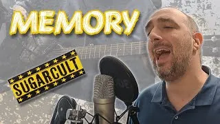 Miniature : [Acoustic Cover] Memory - Sugarcult