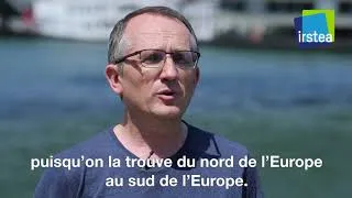 Miniature : Paroles d'experts - Patrick LAMBERT, écosystèmes aquatiques et changements globaux