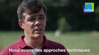 Miniature : Paroles d'experts - Sami BOUARFA, gestion et usages de l'eau