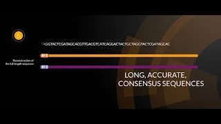 Miniature : LUMI-Seq®: TECHNOLOGIES DESIGNED BY BIOASTER, H264 2020 STUK