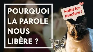 Miniature : Pourquoi la parole nous libère ? (Et peut nous faire du bien ?)🐱