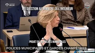 Miniature : Polices municipales : ma question au ministre de l'Intérieur