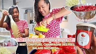 Miniature : 🌸 VLOG PRINTEMPS | La confiture que je refais chaque année (fraises, sureau & champagne des fées 🍓✨)