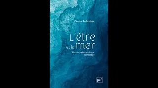 Miniature : L'existentialisme version marine ? Corinne Pelluchon applique les leçons à l'Océan mondial