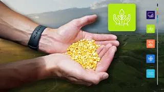 Miniature : Les grappes : un impact concret | Vidéo 2 : Avena Foods