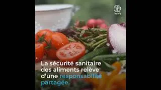 Miniature : La Responsabilité  partagée  de la Sécurité sanitaire des Aliments / FAO
