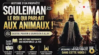 Miniature : L’Histoire Complète du Prophète Souleiman (ﷺ) Le Roi qui Parlait aux Animaux et Commandait les Djinn