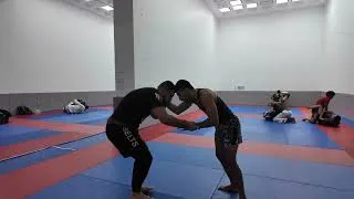 Miniature : No-gi sparring #2 ( 3/07/25 )