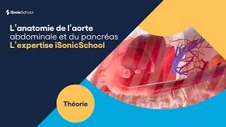 Miniature : Anatomie de l'aorte abdominale et du pancréas en échographie | iSonicSchool
