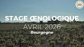 Miniature : Stage œnologique en Bourgogne – Avril 2026