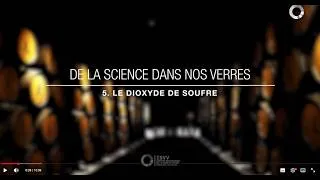 Miniature : LE DIOXYDE DE SOUFRE - De la science dans nos verres - #5