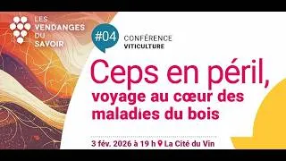 Miniature : #4 - Les Vendanges du Savoir - Ceps en péril, Voyage au cœur des maladies du bois