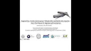 Miniature : 2026- Seminaire-  Stéphanie Suciu. Approches moléculaires pour l’étude des cachalots des Açores