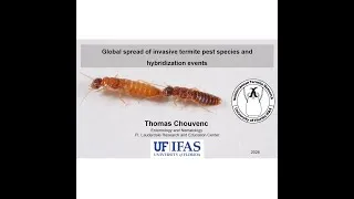 Miniature : 2026-ISYEB Séminaire Thomas Chouvenc (Associate Professor, University of Florida IFAS)