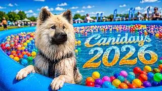 Miniature : 🐾 Les Canidays 2026 vus par un Eurasier
