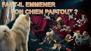 Miniature : Faut-il vraiment emmener son chien PARTOUT ?