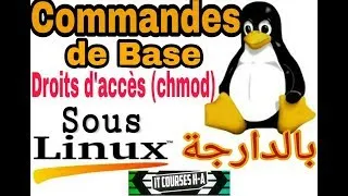 Miniature : Système D'exploitation LINUX Commande de Base -6- بالدارجة