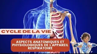 Miniature : U.E 2.2 CYCLE DE LA VIE : ASPECTS ANATOMIQUES ET PHYSIOLOGIQUES DE L’APPAREIL RESPIRATOIRE #life