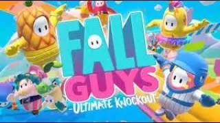 Miniature : fall guys perfect run !!