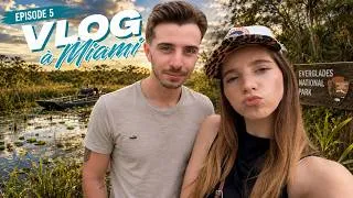 Miniature : VLOG À MIAMI – Épisode 5 : immersion au cœur des Everglades 🐊🌴