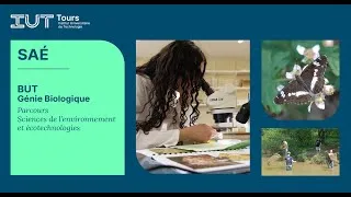 Miniature : SAé biodiversité : BUT GB, parcours sciences de l'environnement et écotechnologies