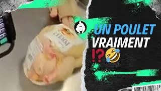 Miniature : UN POULET VRAIMENT ⁉️🙄#social #education #buzz #viral #asmr #shorts #ixbuzz