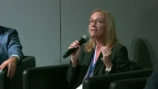Miniature : Vanessa McBride - From IYBSSD to the International Decade of Sciences for Sustainable Development