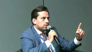 Miniature : Vukašin Grozdić - From the IYBSSD to the International Decade of sciences for Sustainability