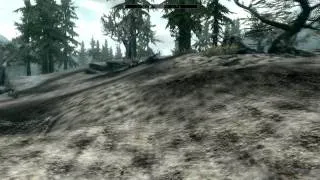 Miniature : Skyrim mon avis; Vidéo en live!