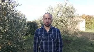 Miniature : Yoann - Colistier de Rassembler La Barben