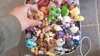 Miniature : Une vie de Petshop