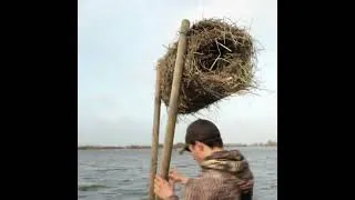 Miniature : Comment fabriquer et installer des nichoirs à canards.