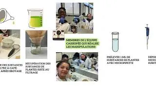 Miniature : Jean Jaurès Chatenay Malabry- olympiades académiques de biologie 2024
