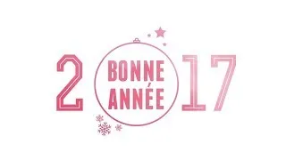 Miniature : UCP BONNE ANNÉE 2017