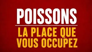 Miniature : POISSONS  ce qui compte le plus 