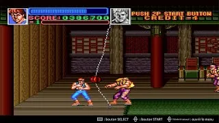 Miniature : SuperDoubleDragon one punch atatatatata