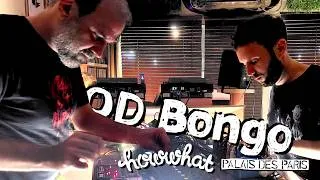 Miniature : OD Bongo, live at Howwhat, Palais des paris, Takasaki, Japan