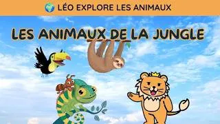 Miniature : Découvre les Super-Pouvoirs Incroyables des Animaux de la Jungle ! 🦎🦎🦥🦜 Fiches GRATUITES à IMPRIMER