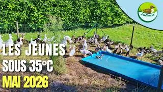 Miniature : LES JEUNES SOUS 35°C EN MAI 2026 !! 💦☀️