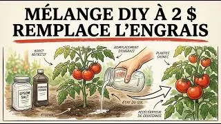 Miniature : Peroxyde d’Hydrogène + Sel d’Epsom : Le Mélange à 2 $ Qui Remplace l’Engrais