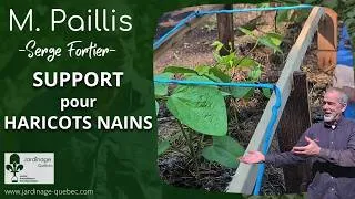 Miniature : SUPPORT POUR HARICOTS NAINS : LA MÉTHODE SIMPLE QUI FACILITE LA RÉCOLTE ET PROTÈGE VOS PLANTS