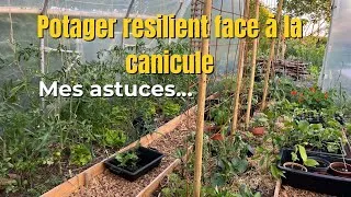 Miniature : Potager, Bretagne, canicule, mes astuces pour que le potager soit résilient