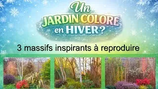 Miniature : Comment créer un jardin coloré en hiver ? 3 massifs inspirants : écorces, feuillages, floraisons...