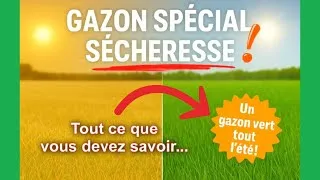 Miniature : Dites adieu à la pelouse grillée ! Découvrez les nouveaux gazons résistants à la sécheresse...