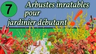 Miniature : 7 Arbustes inratables pour jardinier débutant !